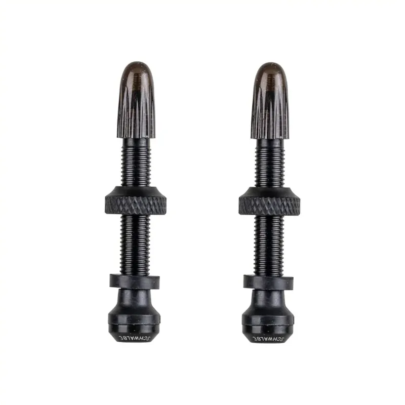 Schwalbe Tubeless ventiel (Frans) 60mm, per 2 Alleen Vandaag